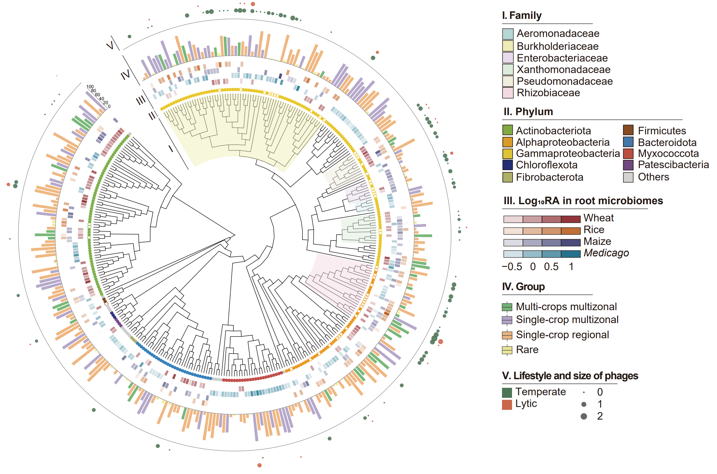 生物样本库管理系统界面，显示样本存储和查询信息